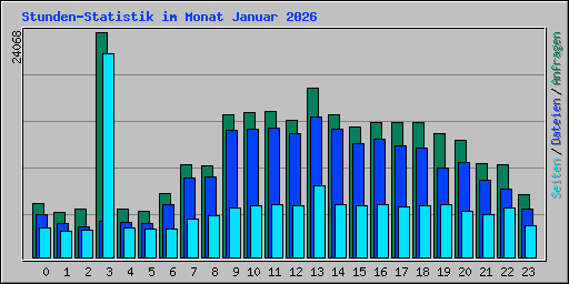 Stunden-Statistik im Monat Januar 2026